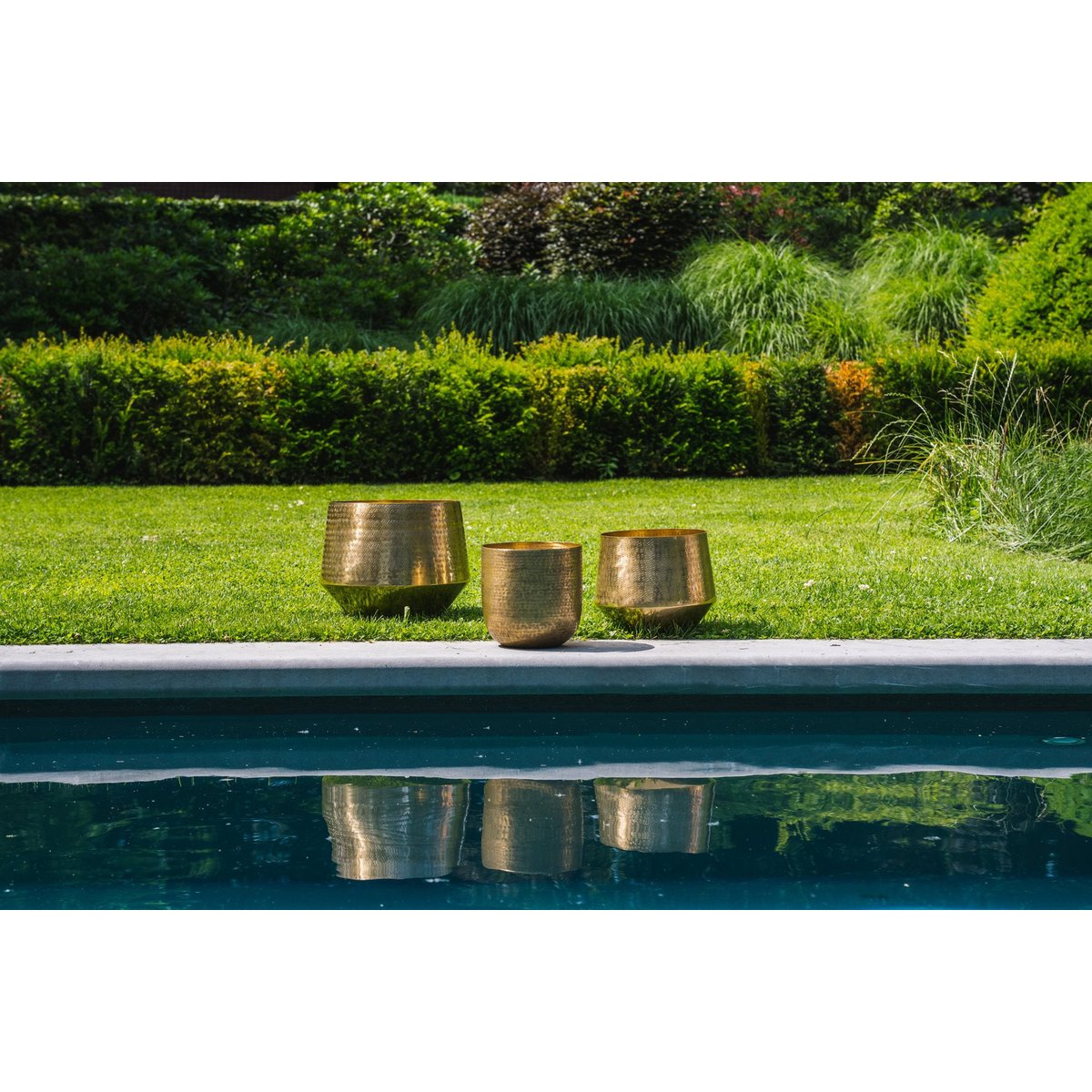 The Hammered Planter - Brass - XL